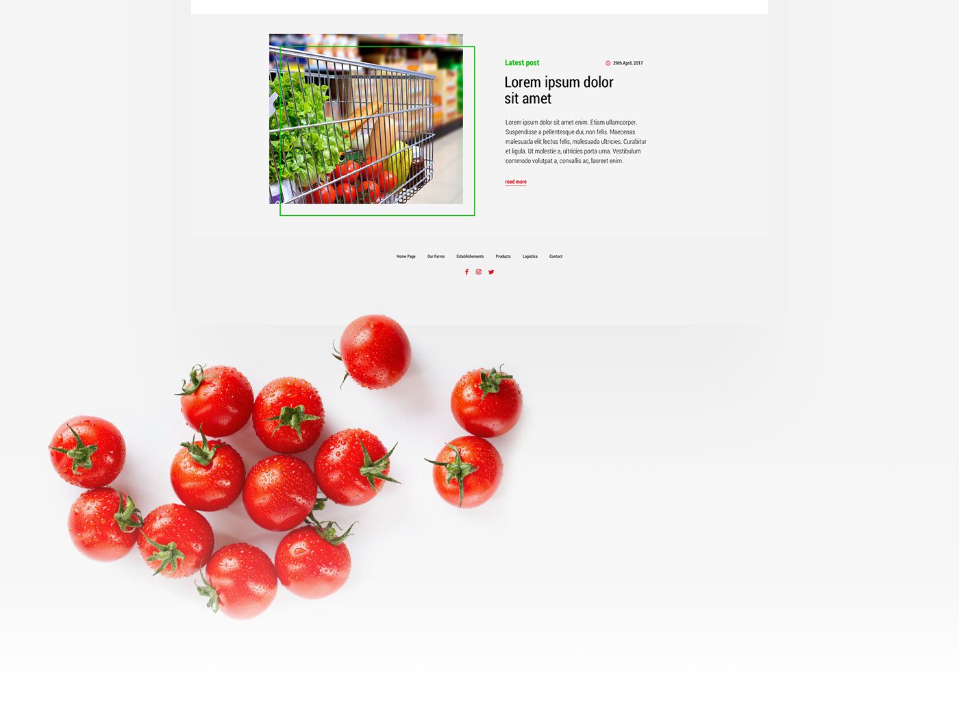 Food Exporter Website